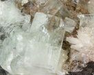 Lustrous Green Apophyllite Crystals with Stilbite - India #44359-2